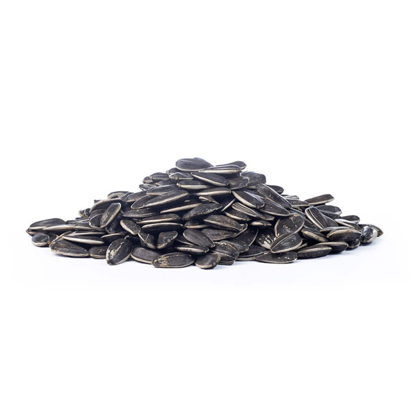 semilla-girasol-con-cascara semilla de girasol con cáscara